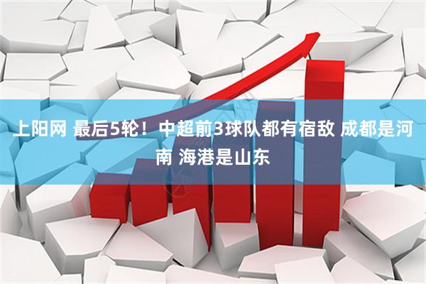 上阳网 最后5轮！中超前3球队都有宿敌 成都是河南 海港是山东