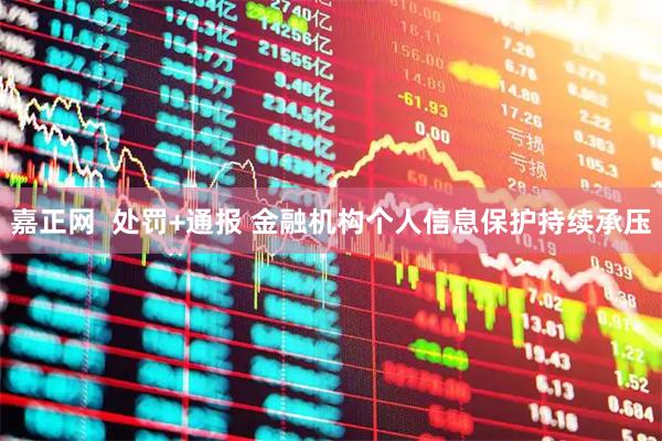 嘉正网  处罚+通报 金融机构个人信息保护持续承压