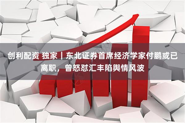 创利配资 独家｜东北证券首席经济学家付鹏或已离职，曾怒怼汇丰陷舆情风波