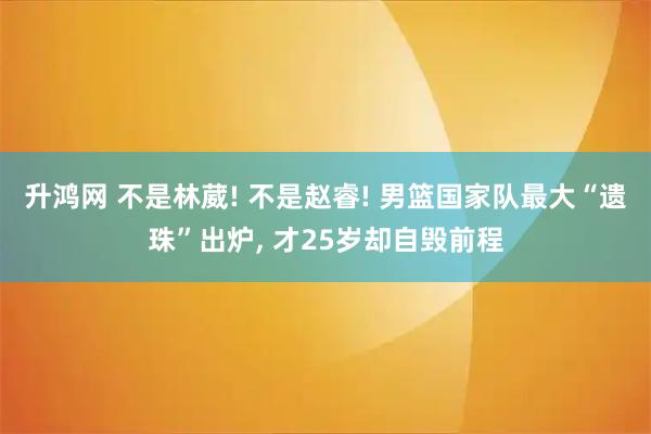 升鸿网 不是林葳! 不是赵睿! 男篮国家队最大“遗珠”出炉, 才25岁却自毁前程