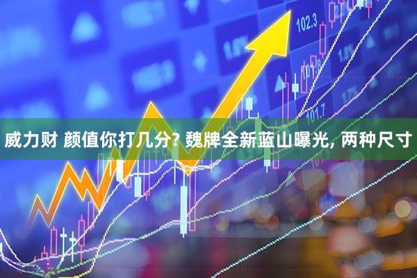 威力财 颜值你打几分? 魏牌全新蓝山曝光, 两种尺寸